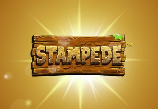 stampede slot featured image