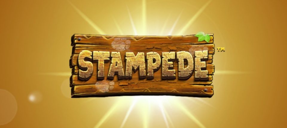 stampede slot featured image