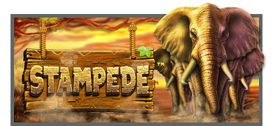 stampede slot game