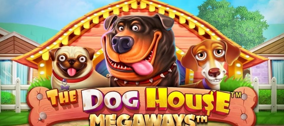 the dog house megaways slot featured image