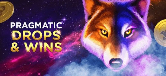 rocketpot io casino drops and wins