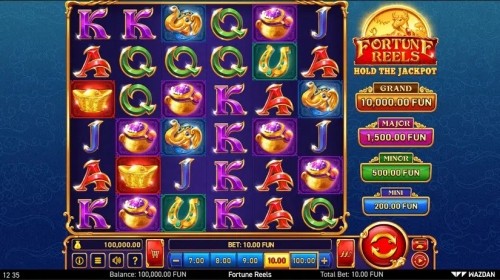 fortune reels slot wild symbol