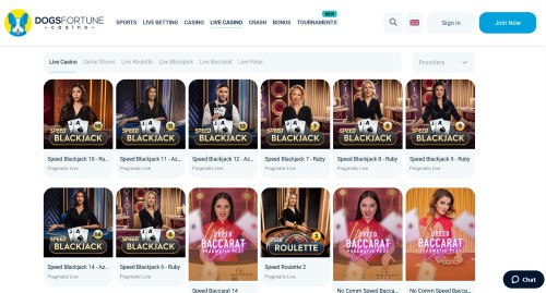 dogsfortune live casino games